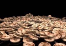 Greater Trading Possibilities Using Leveraged Crypto Futures on International Platforms