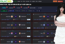 The Digital Evolution of Football Entertainment and Professional Market Analysis