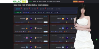 The Digital Evolution of Football Entertainment and Professional Market Analysis